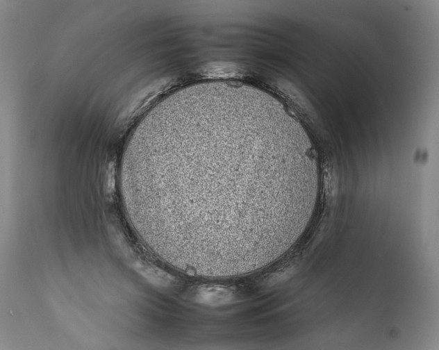 X0000112040549200908241605