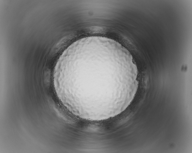 X0000112040550200908241605