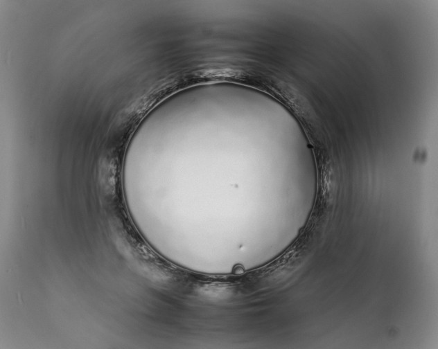 X0000112040551200908241605