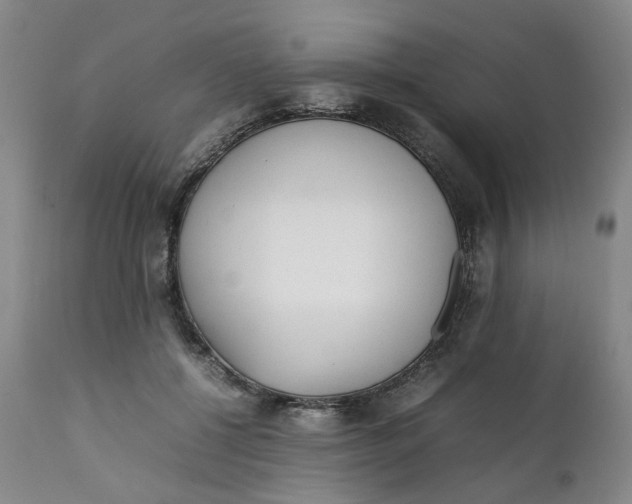 X0000112040552200908241605
