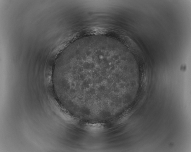 X0000112040553200908241605