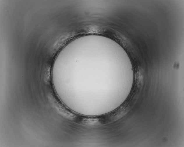 X0000112040554200908241605