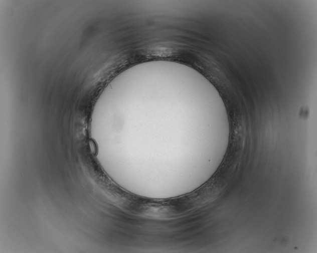 X0000112040555200908241605