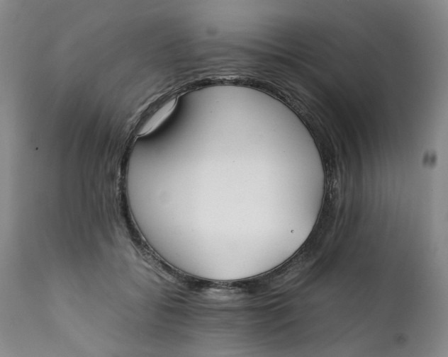 X0000112040556200908241605