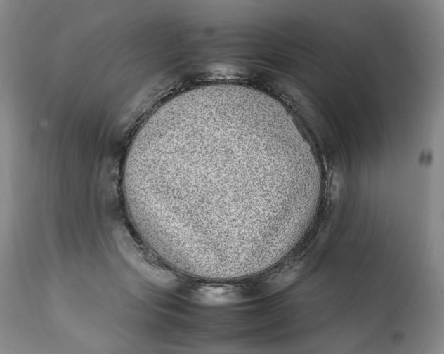 X0000112040557200908241605