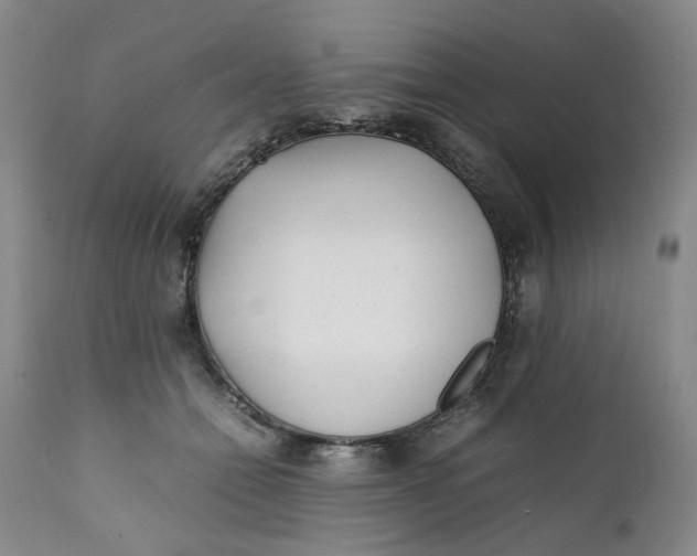 X0000112040558200908241605
