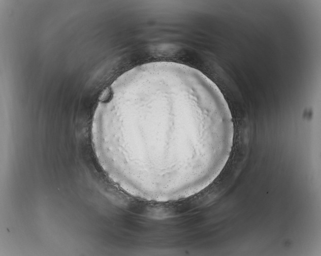 X0000112040561200908241605