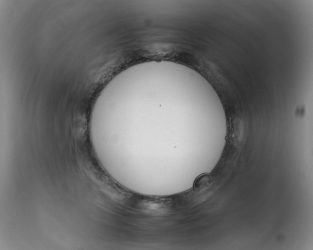X0000112040563200908241605