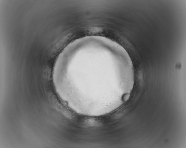 X0000112040565200908241605