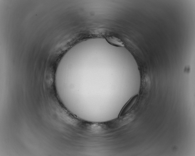 X0000112040566200908241605