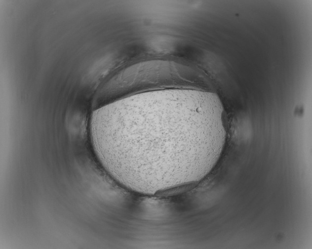 X0000112040568200908241605