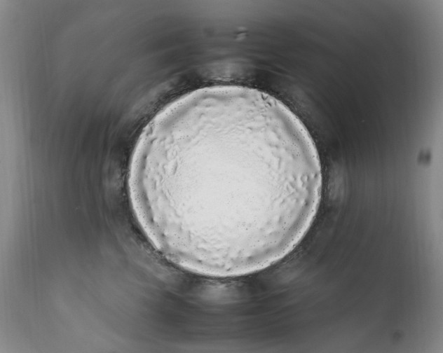X0000112040569200908241605