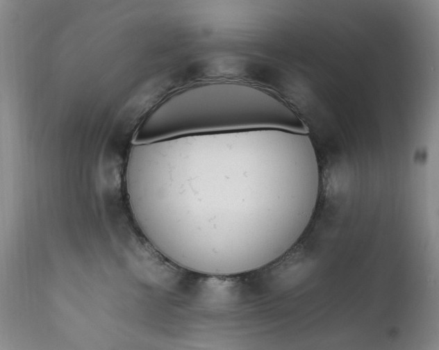 X0000112040570200908241605