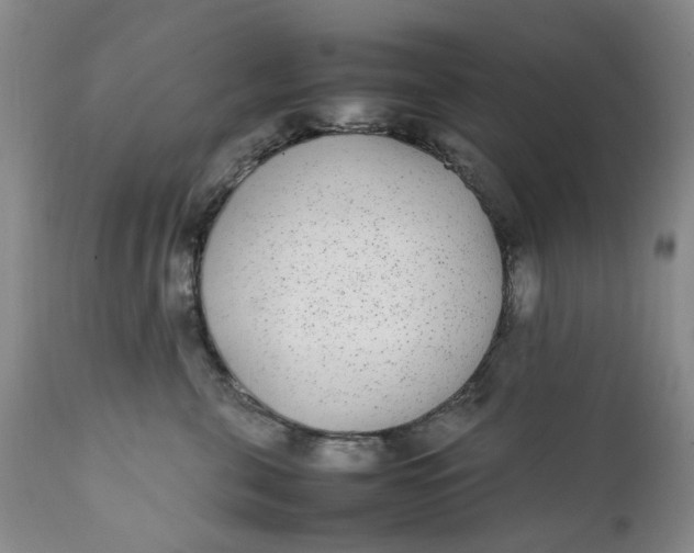 X0000112040571200908241605