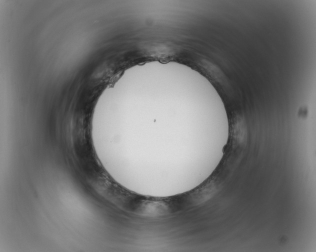 X0000112040572200908241605
