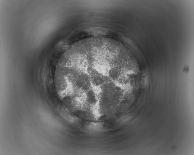 X0000112040573200908241605