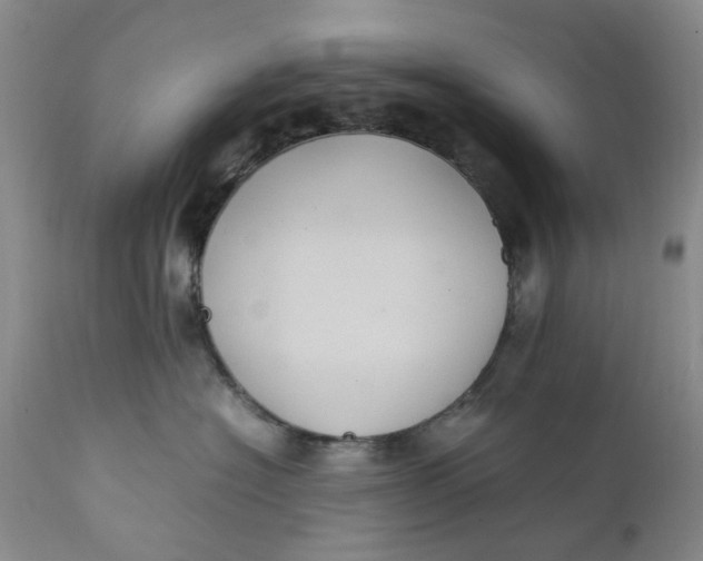 X0000112040574200908241605