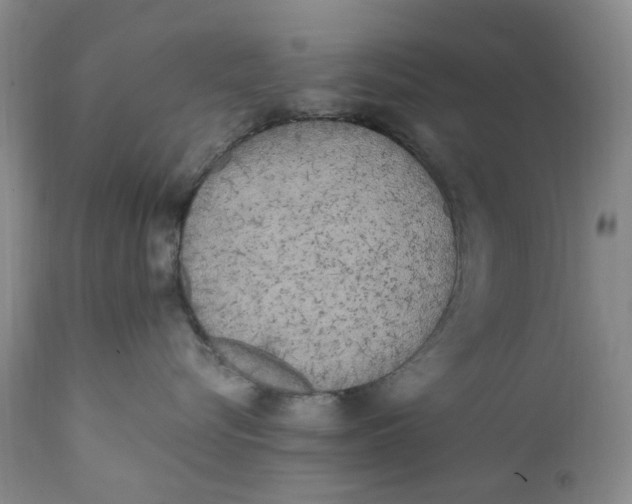 X0000112040576200908241605