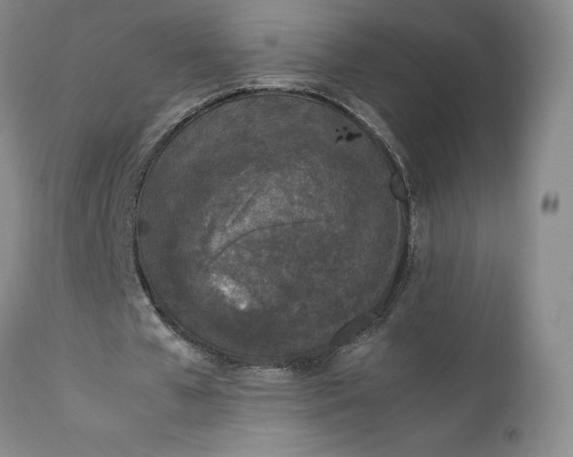 X0000112040577200908241605