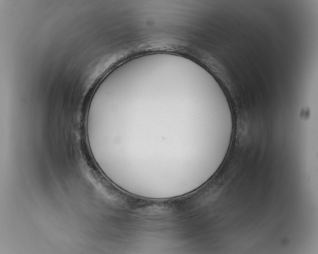 X0000112040578200908241604