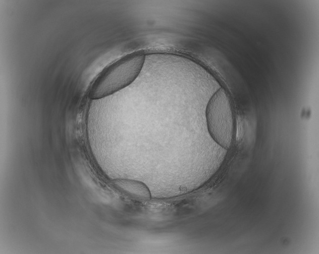 X0000112040579200908241604