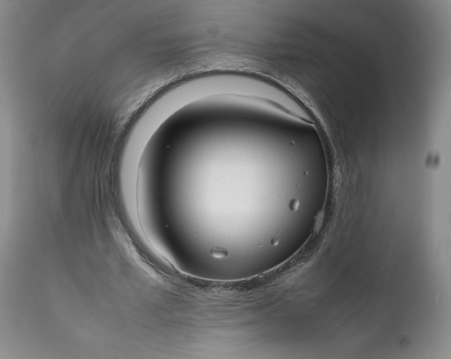 X0000112040581200908241604