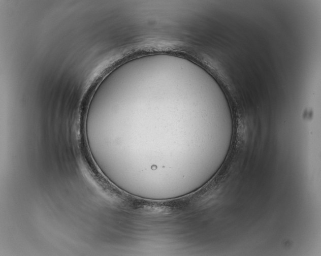 X0000112040582200908241604