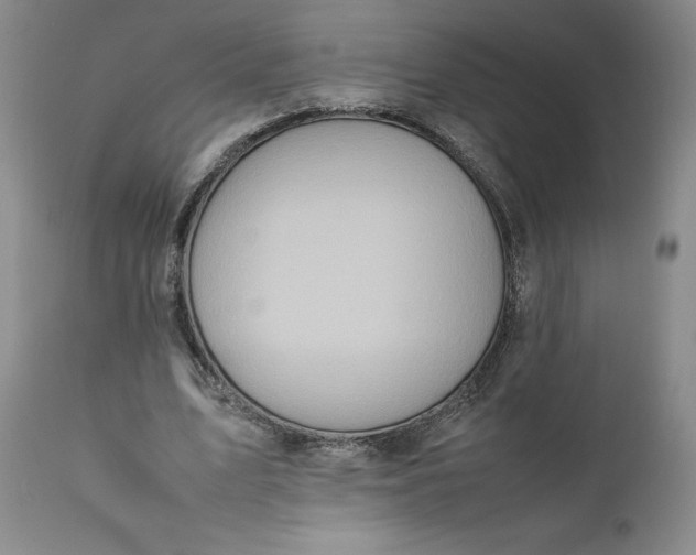 X0000112040583200908241604