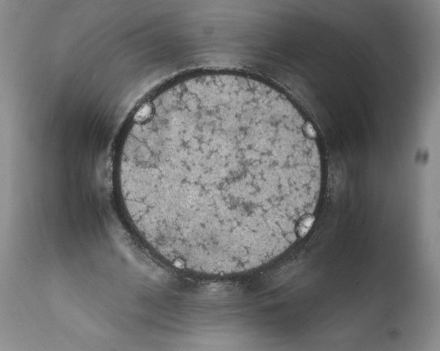 X0000112040584200908241604