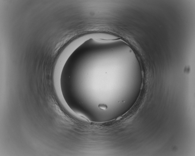 X0000112040585200908241604