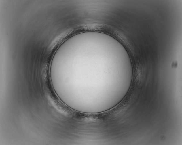 X0000112040586200908241604