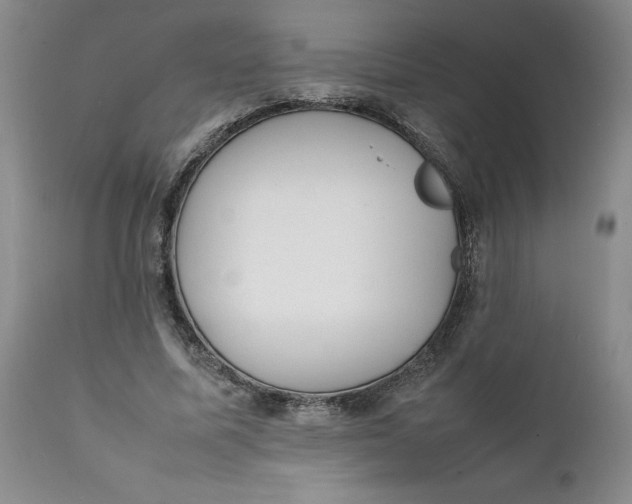 X0000112040587200908241604