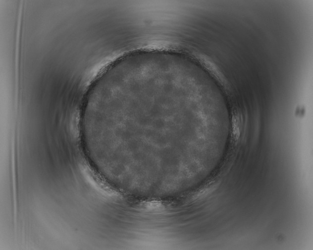 X0000112040588200908241604