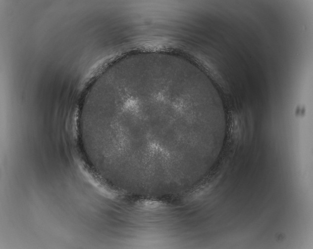 X0000112040590200908241604
