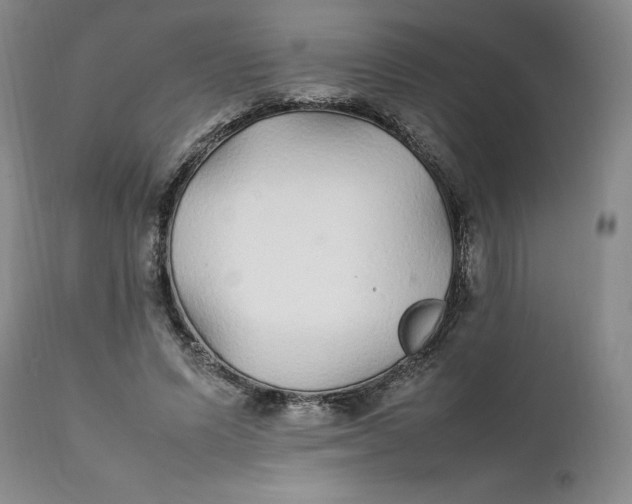 X0000112040591200908241604