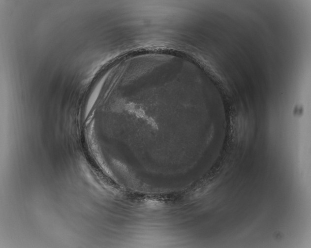 X0000112040592200908241604