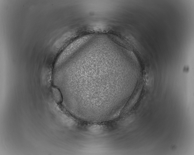 X0000112040593200908241604