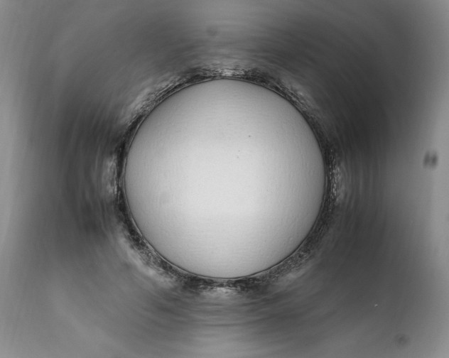 X0000112040594200908241604