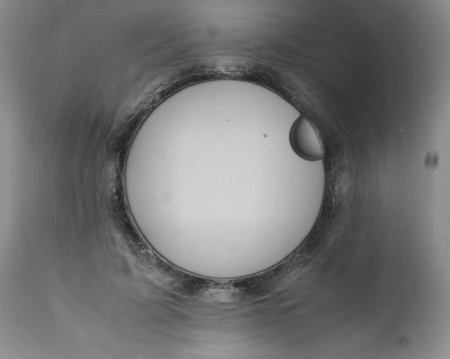 X0000112040595200908241604