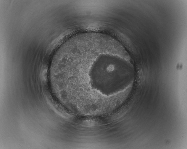 X0000112040596200908241604