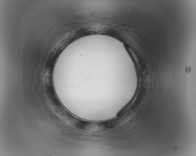 X0000112040597200908241604