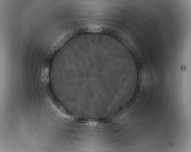 X0000112040598200908241604