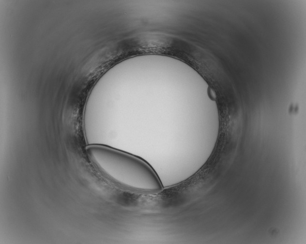 X0000112040599200908241604