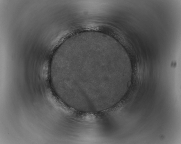 X0000112040600200908241604