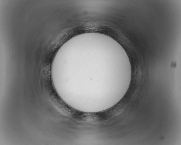 X0000112040601200908241604