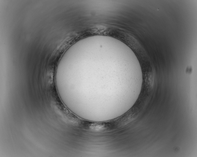 X0000112040602200908241604