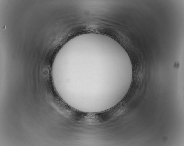 X0000112040603200908241604