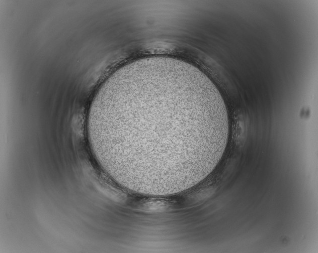 X0000112040604200908241604