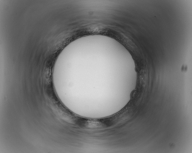 X0000112040605200908241604