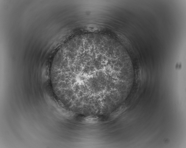 X0000112040606200908241604